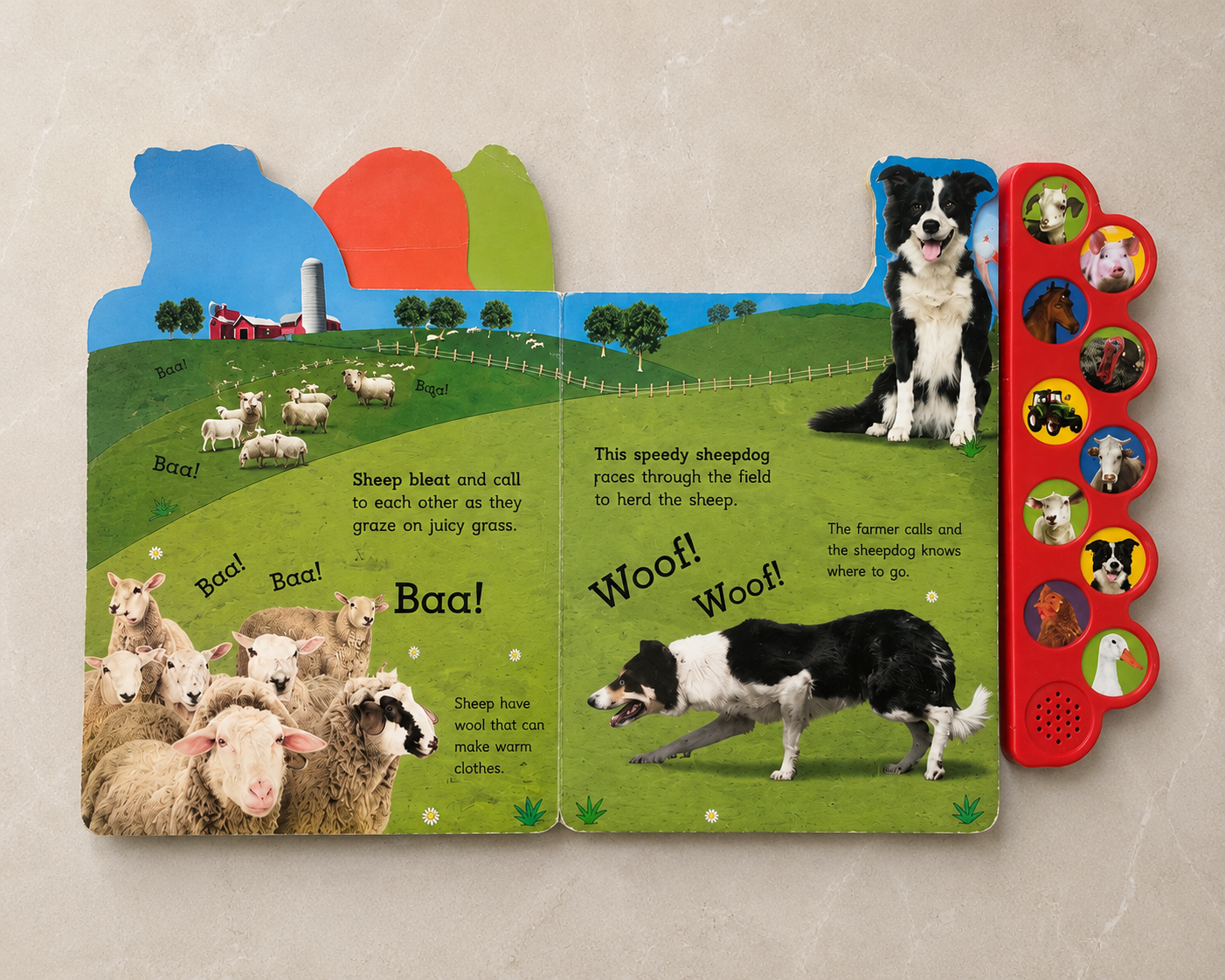 Oink on the Farm - Large Size Preloved Book