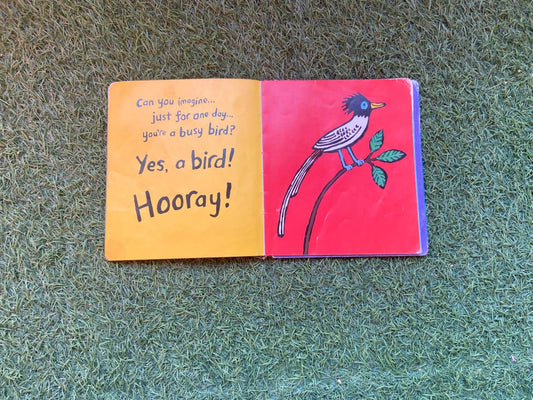 A Busy Day for Birds - Preloved Book