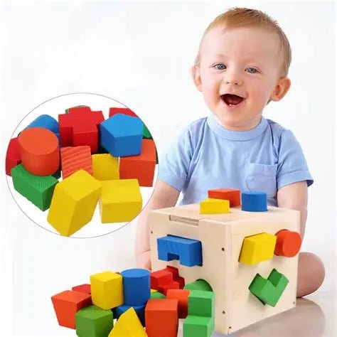 15 Shape Sorter Box – Brain Development & Problem-Solving Toy for Kids - Chotaymasters
