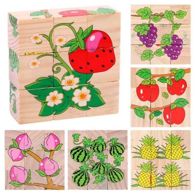 Six-Sided Cubical Wooden Puzzle Three-Dimensional