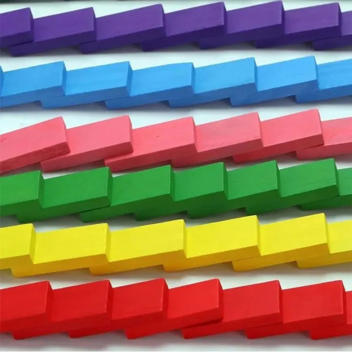 100 PCS Wooden Rainbow Domino Blocks Set for Kids
