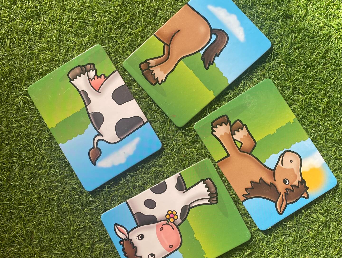 Farmyard Heads and Tails Puzzles Set