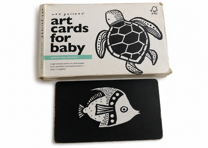 6 Double Sided Flash Cards for Babies