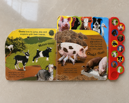 Oink on the Farm - Large Size Preloved Book