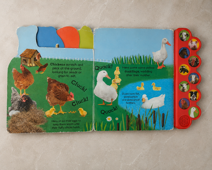 Oink on the Farm - Large Size Preloved Book