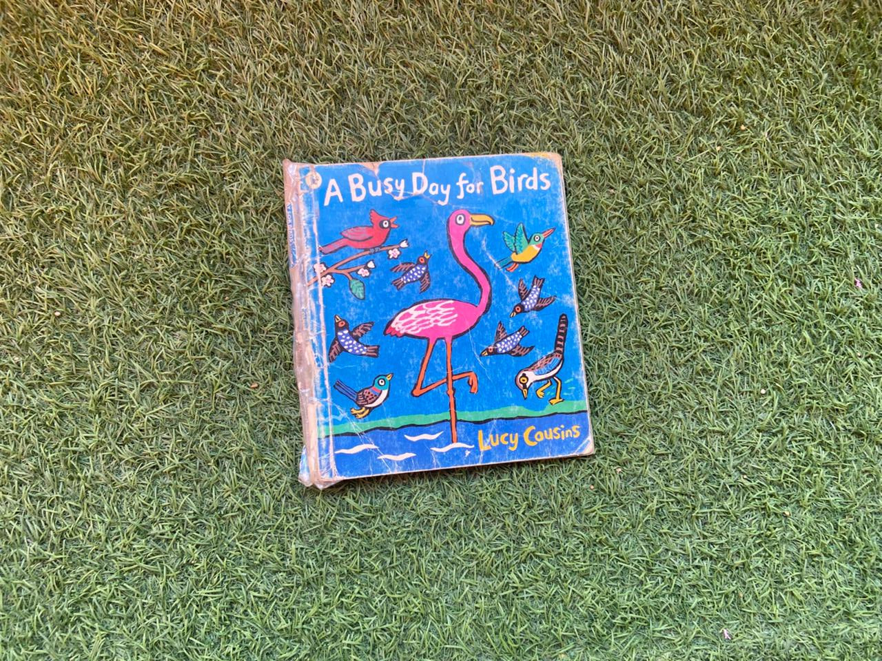 A Busy Day for Birds - Preloved Book