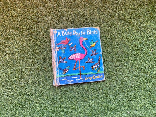 A Busy Day for Birds - Preloved Book