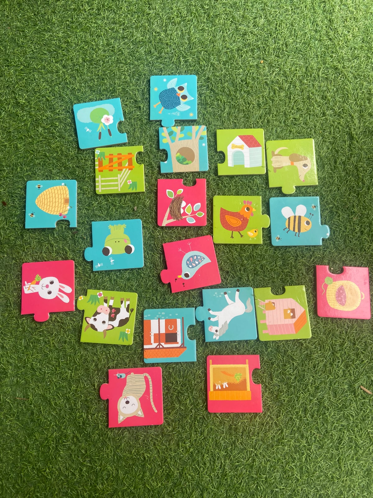 Animals Habitat Puzzles