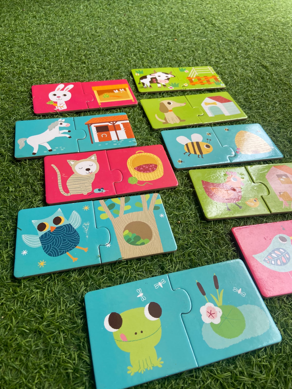 Animals Habitat Puzzles