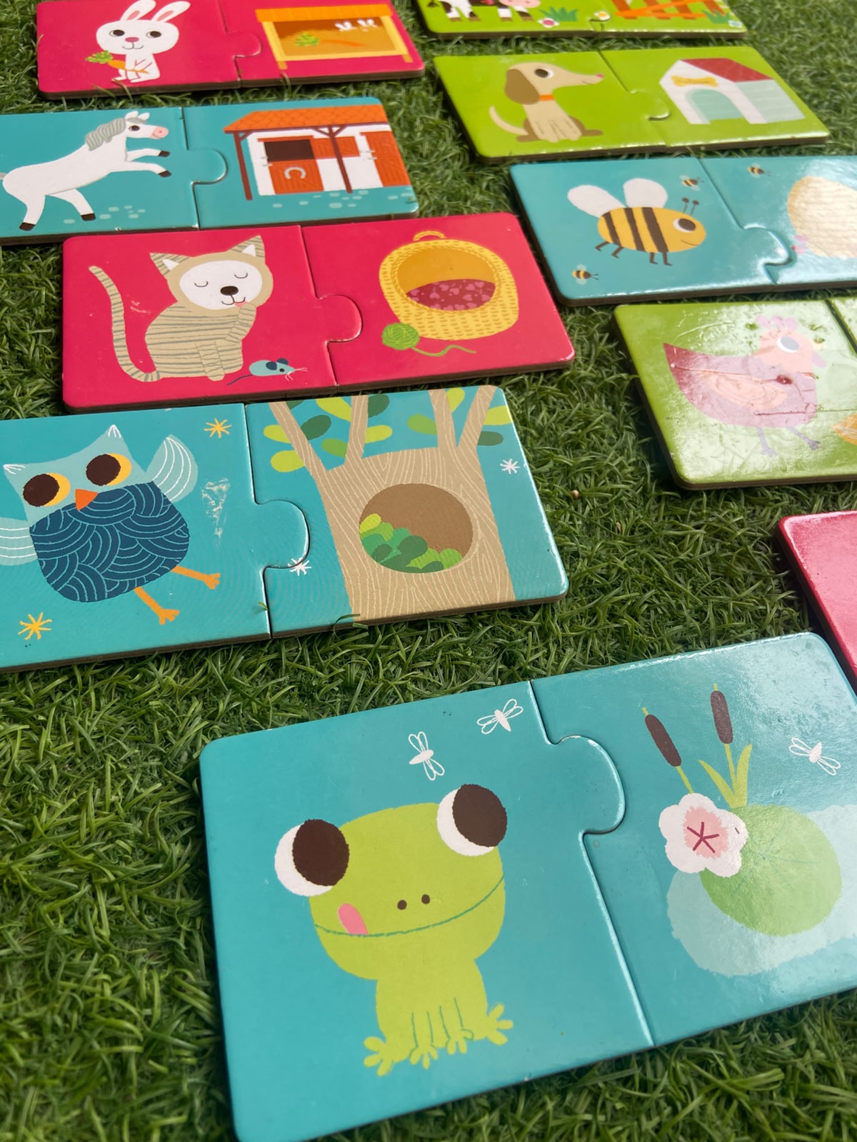 Animals Habitat Puzzles