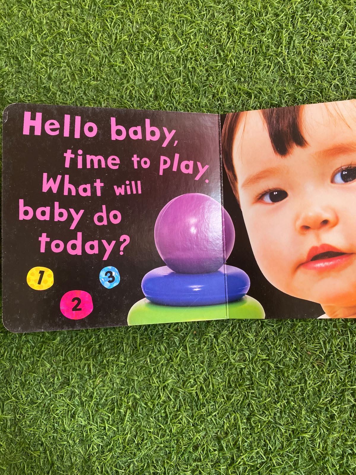 Baby's Day Board Book