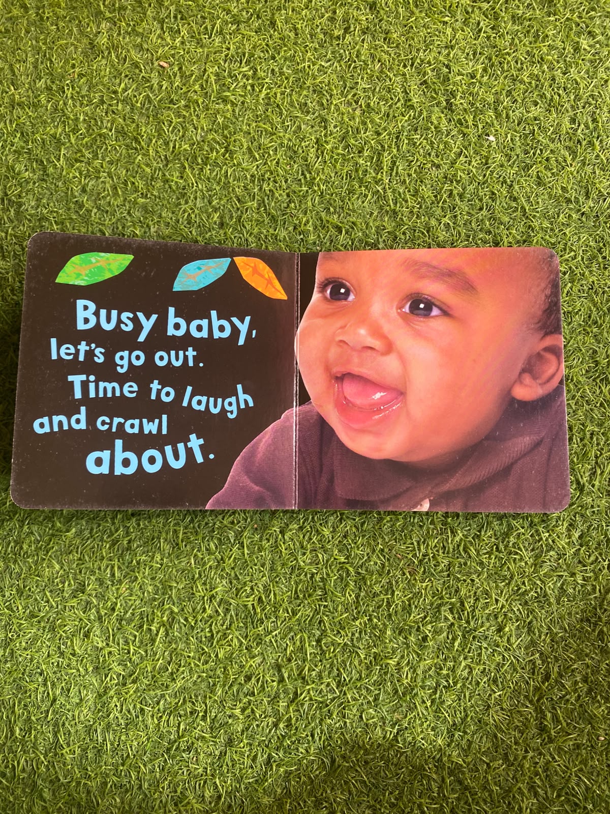Baby's Day Board Book