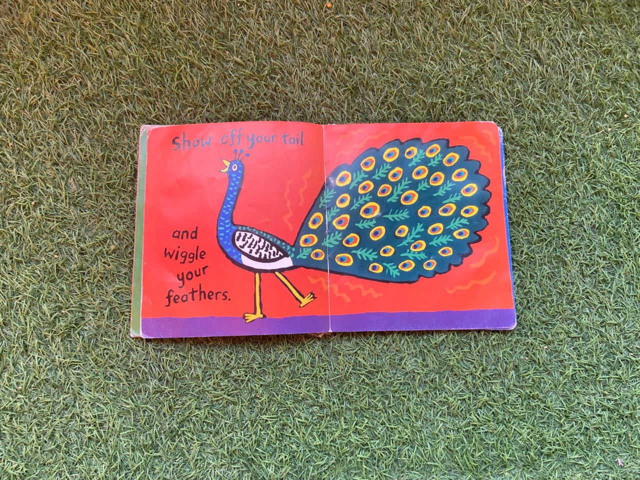 A Busy Day for Birds - Preloved Book