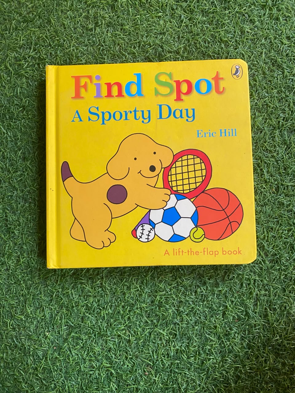 A Sporty Day - New Flap Board Book