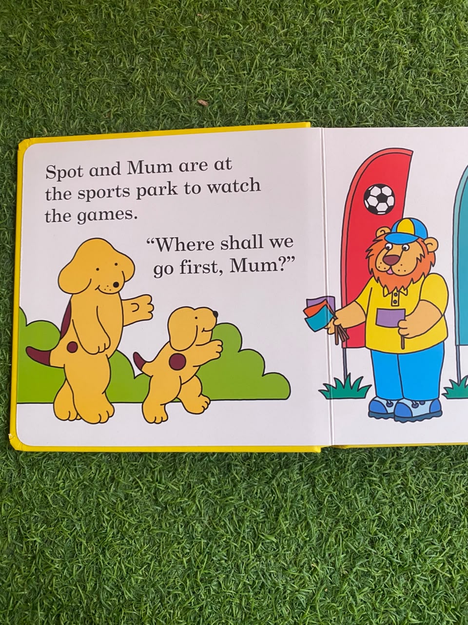 A Sporty Day - New Flap Board Book
