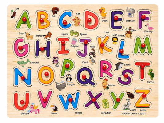 Educational Knobbed Puzzles Boards Large - Chotaymasters