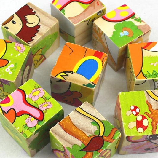 Six-Sided Cubical Wooden Puzzle Three-Dimensional